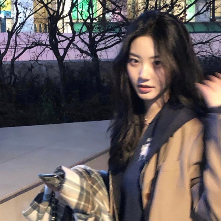 姐妹的花园
